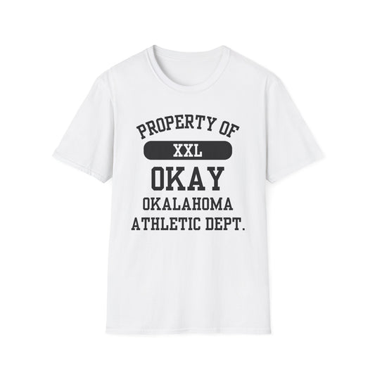 Okay Funny City Name T-Shirt unisex funny shirt sarcastic graphic tee road trip souvenir shirt retro city name shirt funny city name shirt