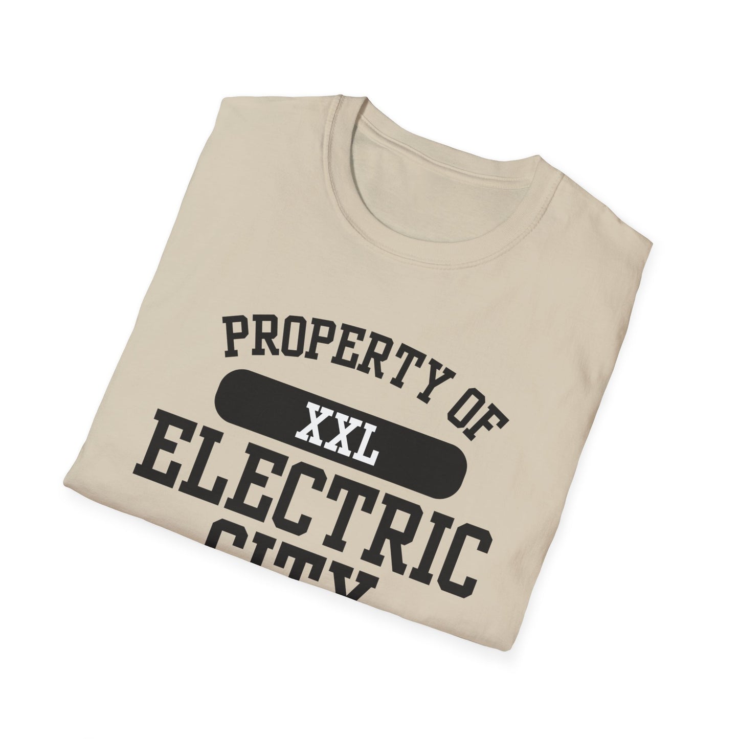 Electric City Funny City Name T-Shirt unisex funny shirt road trip souvenir shirt custom city t-shirt quirky town shirt sarcastic graphic tee