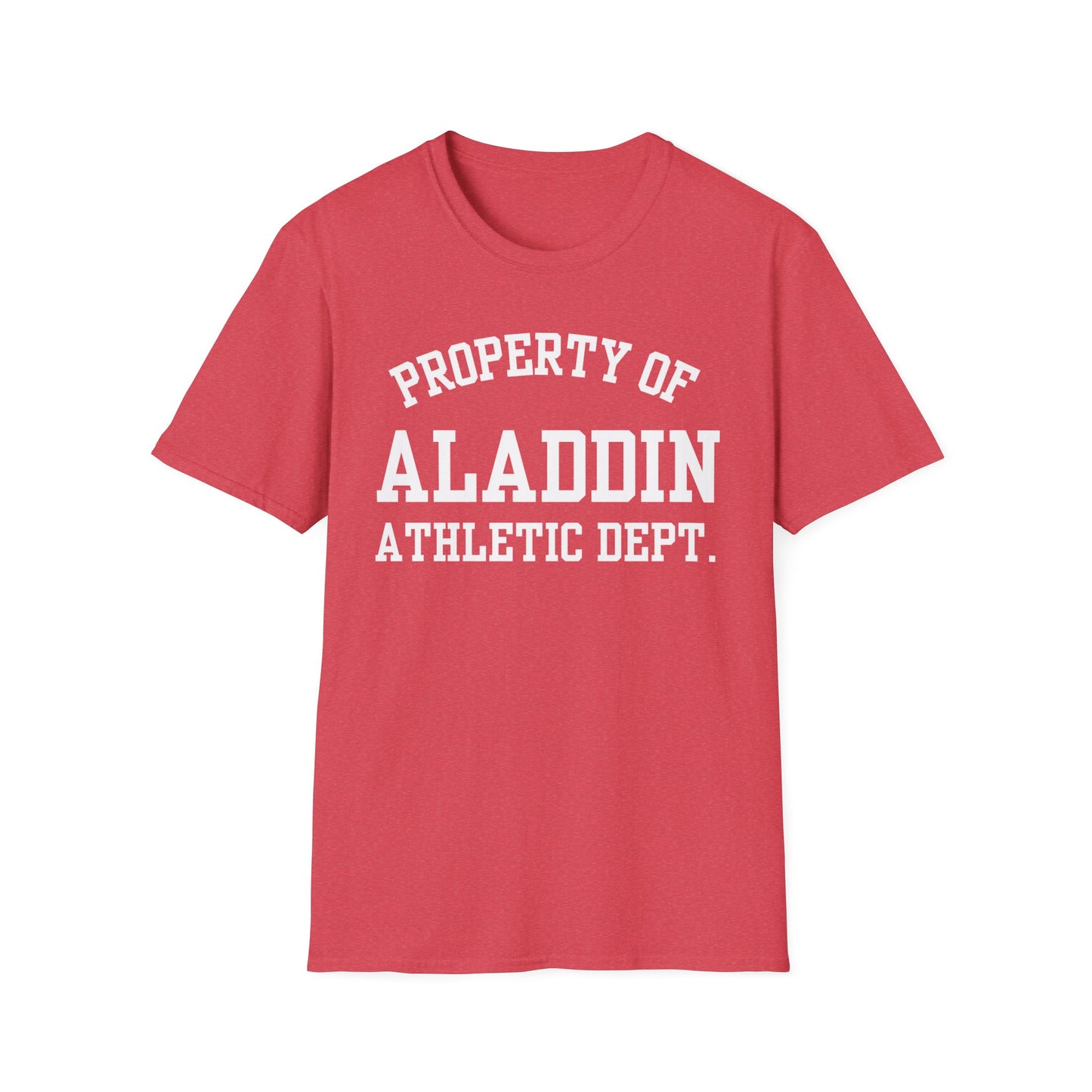 Aladdin Funny City Name T-Shirt novelty t-shirt local pride tee silly town tee custom city tee travel gift tee ironic tee quirky place tee