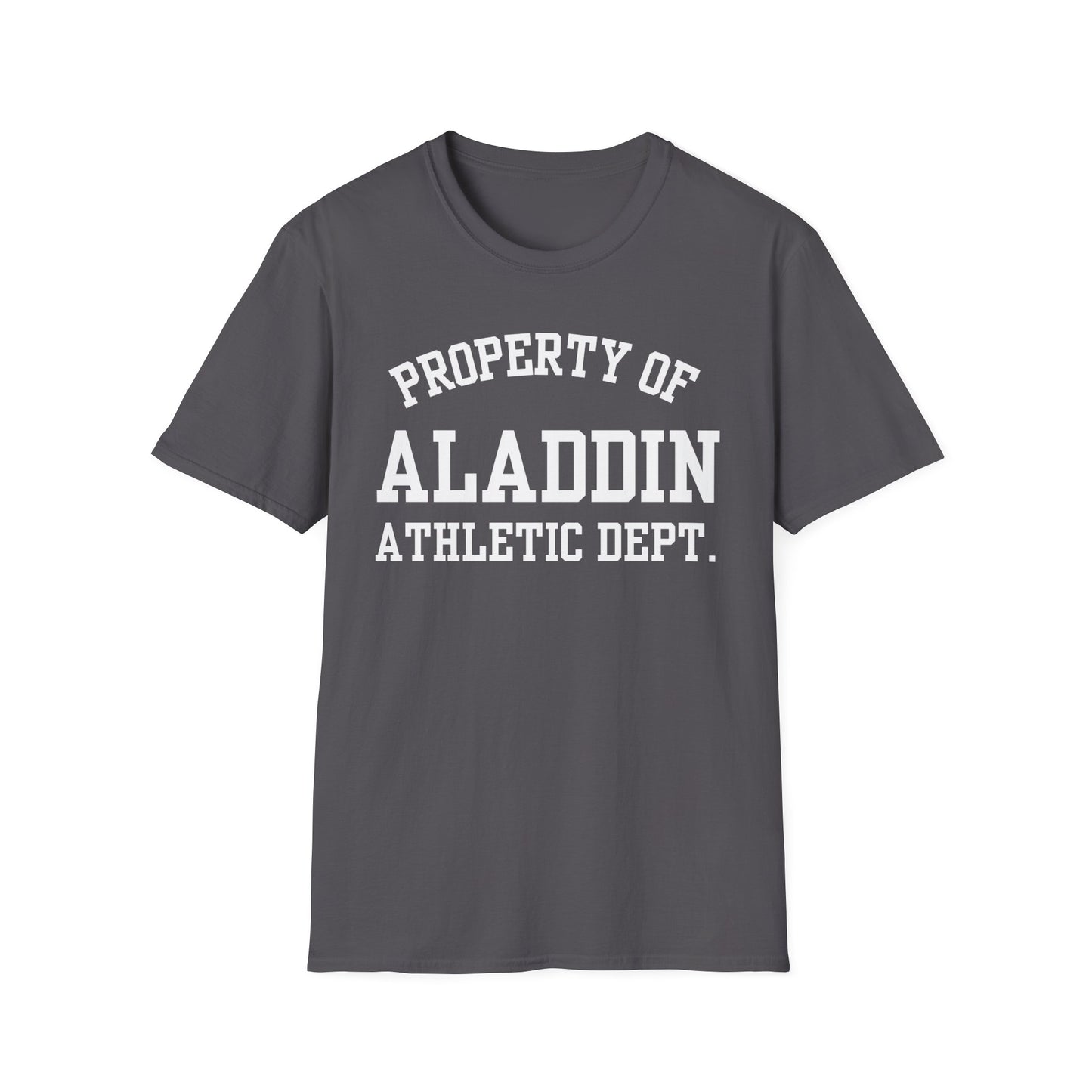 Aladdin Funny City Name T-Shirt novelty t-shirt local pride tee silly town tee custom city tee travel gift tee ironic tee quirky place tee