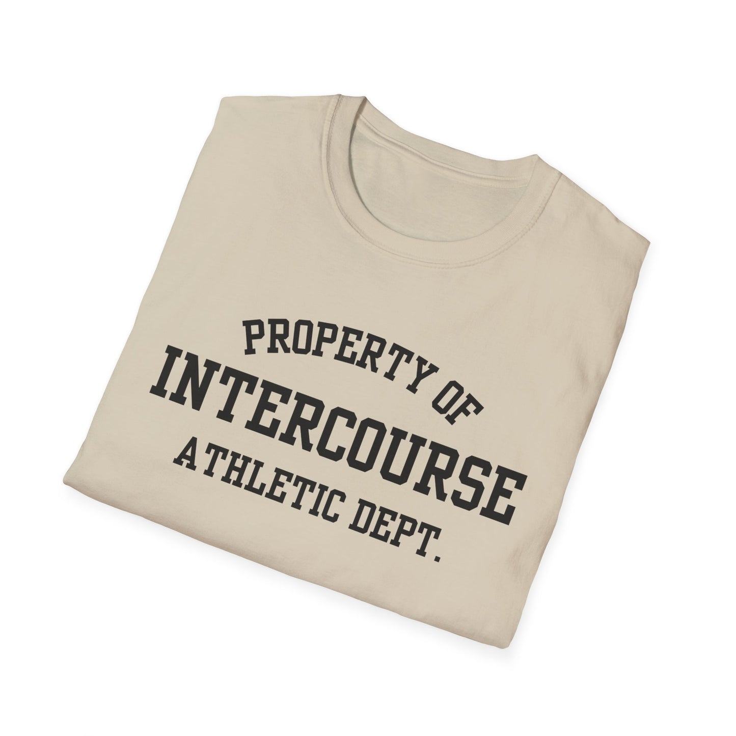 Intercourse Funny City Name T-Shirt sarcastic graphic tee hometown pride shirt retro city name shirt quirky town shirt gift for travelers