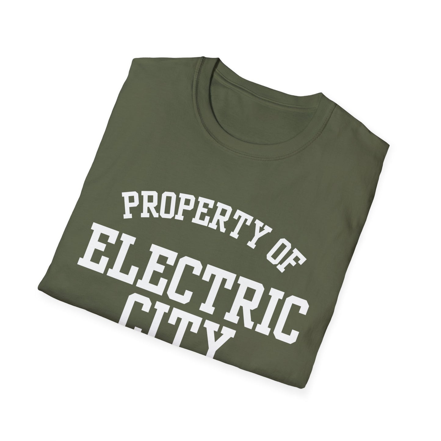Electric City Funny City Name T-Shirt local pride tee travel gift tee silly town tee small town gift ironic tee custom city tee funny city name