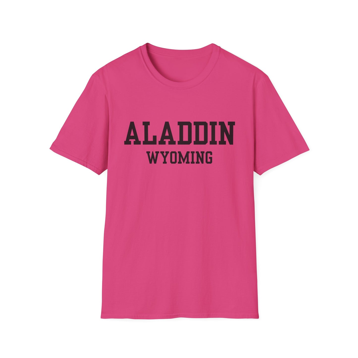 Aladdin Funny City Name T-Shirt gift for travelers unisex funny shirt novelty t-shirt for adults road trip souvenir shirt quirky town shirt