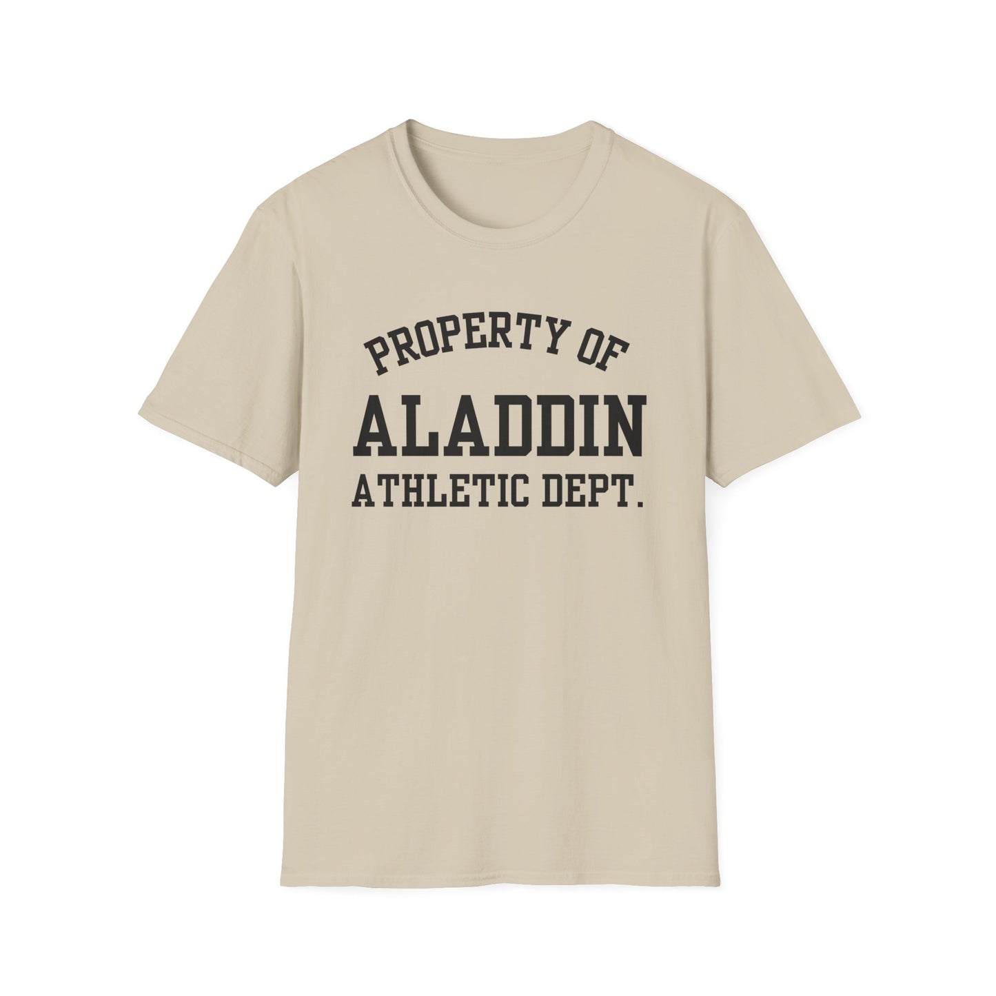 Aladdin Funny City Name T-Shirt funny city name shirt unisex funny shirt custom city t-shirt gift for travelers retro city name shirt